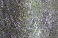 Aston Munslow fibreglass roof work